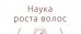 Лаборатория Ан-Тек